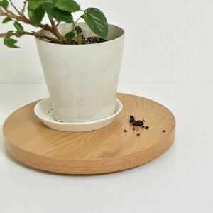 Eh v^[x[X ONPT0106MENAT i` W300×D300×H37mm B.Bt@jVO