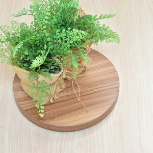 Eh v^[x[X ONPT0106MELBR CguE W300×D300×H37mm B.Bt@jVO