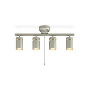 4V[OCg CE4LA-22SS-MS ^bNVo[ ACXI[}