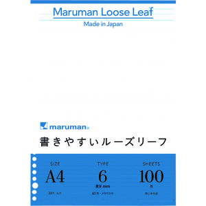 A4 [Y[t 6mmr 100 L1101H 6mmrE43sE100 }}