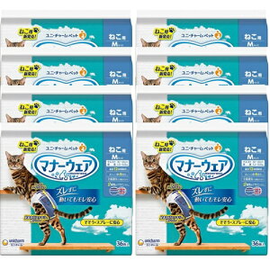 yP[X̔z}i[EFA˂p M 36×8 jE`[