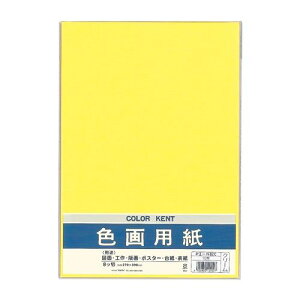 色画用紙 N821 クリーム Pエ-N82C マルアイ