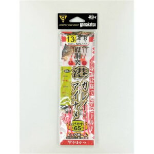 ˍ`JCACid| ND-110 13 ܂