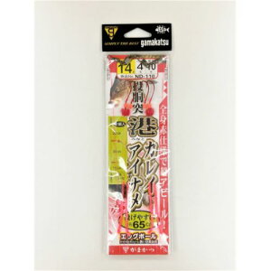 ˍ`JCACid| ND-110 14 ܂