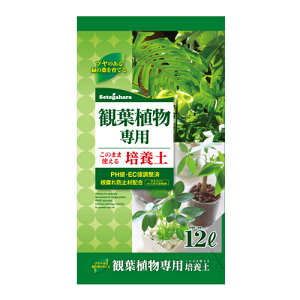 y܂ƂߔzϗtA p|{y 12L×2 setogahara