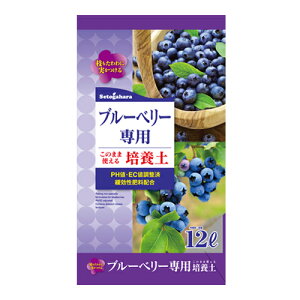 y܂Ƃߔzu[x[p |{y 12L×2 setogahara