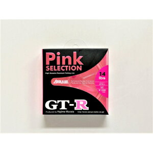 sNZNV GT-R 100m T[iC