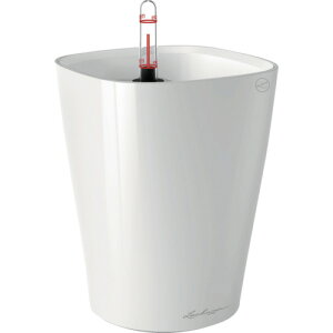 ʋv^[ feB[j zCg 14900 `[U