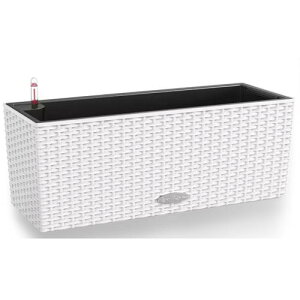 ʋv^[ oRl Re[W zCg 15600 `[U