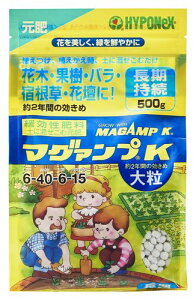 }OAvK嗱 500g nC|lbNXWp