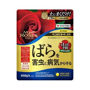 }C[YxjJXK[h 450g ZFw|