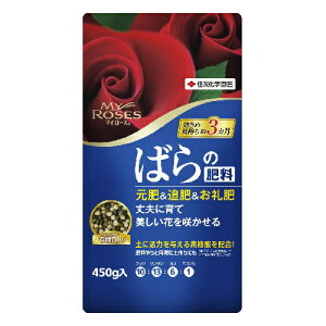 }C[Y΂̔엿 450g 450g ZFw|