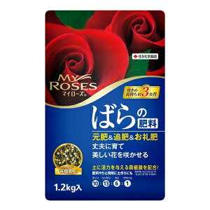 }C[Y΂̔엿 1.2kg 1.2kg ZFw|