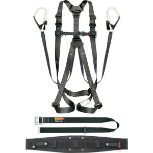 ZOlX 301 L SEGNES301L L ^W}