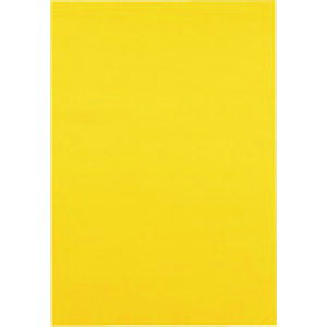 381321�F��p�� 4�c��10�� �Ђ܂�� P144J3 �W���C���e�b�N�X