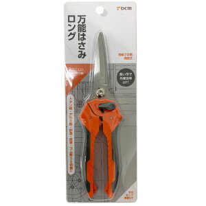 ���\�n�T�~ �����O �����O DCM