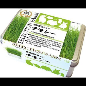 ZNVt@[q͔|Zbg `V[ 127g C[X^[