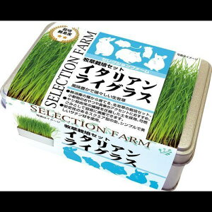 ZNVt@[q͔|Zbg C^ACOX 130g C[X^[