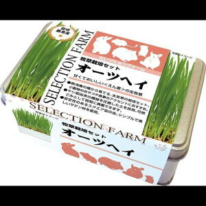 ZNVt@[q͔|Zbg I[cwC 136g C[X^[