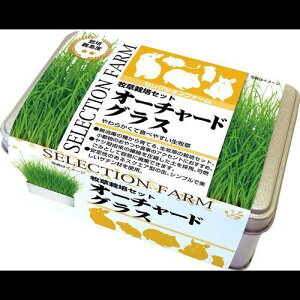 ZNVt@[q͔|Zbg I[`[hOX 128g C[X^[