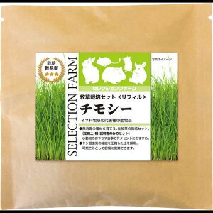 ZNVt@[q͔|Zbg(tB) `V[(p) 45g C[X^[