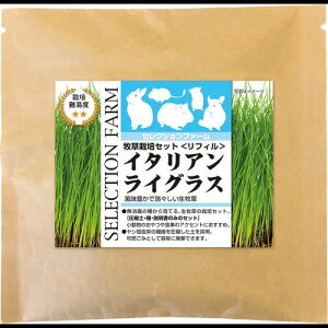 ZNVt@[q͔|Zbg(tB) C^ACOX(p) 47g C[X^[