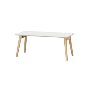 ܂݃Z^[e[u FCT-800 i`/zCg 800×400×340mm ACXI[}