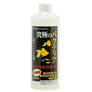 ɂ̃oNeA 500ml ɃV[Y