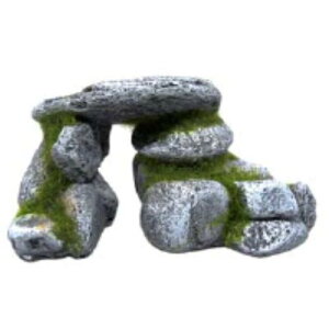 ANAEI[ig Xg[A[` aquaneru