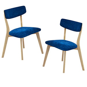 _CjO`FA sO[ i` u[ 2rg 287548 ։Ƌ