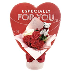 n[gxA\[vt[ sNԃA\[g Jg