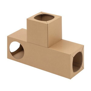 ˂˂gl TPi P-NTTT Pi T^Cv ACXI[}