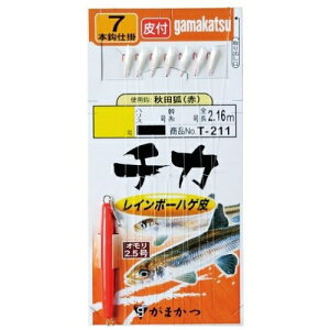 `JC{[nQd| 5 T-211 ܂