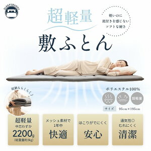 yʕ~ӂƂ 95×195cm O[ KZ-005 SLEEPYBUDDY