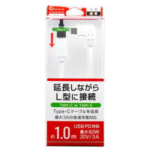 TYPE-CP[u FS-EXCCSL100-WH P[u L^ FSC