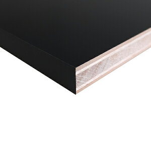 ϒI 20×450×900 SA-LC9045K  20×450×900 ARTIST (A[eBXg)