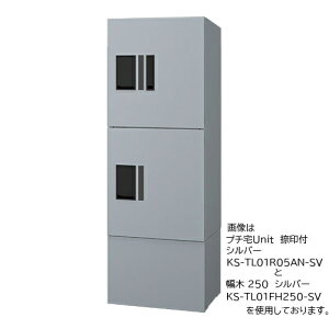  250 KS-TL01FH250-SV Vo[×Vo[ 250 iX^()