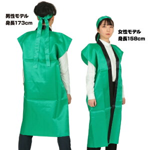 TeOnbs  L(n`}Lt) 1150 A[ebN