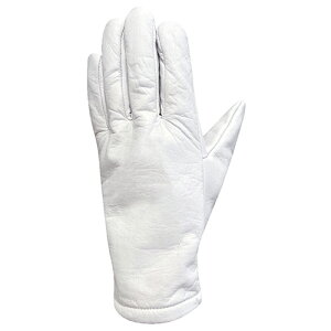 Ǝ vhU[ M TCY:M ~G[u