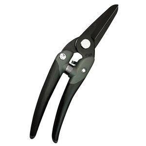 t[Xg JP-2000FBK  `J}T