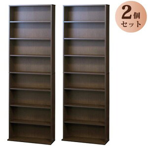 ɖ{IW600S 2g 17053 _[NuE 60×s22(17)×180cm kuroshio