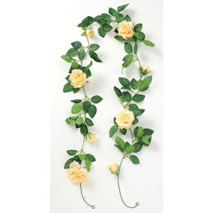 tFCNO[ K[h o 75217 IW A[ebN tFCNO[ ϗtA  A CeA V Mtg v[g j J J@ JX Vz z ړ] 