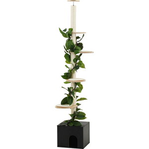 ˂̋x \ 58203 \ ˂̋x