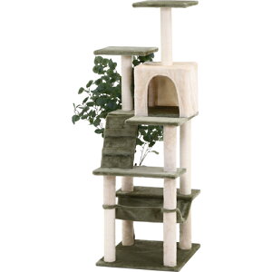 ˂̋x I 58204 I ˂̋x