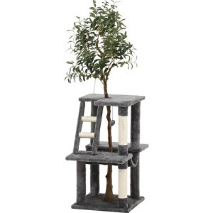 ˂̋x } 58205 } ˂̋x