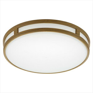 LED~jV[OCg ^Cv 100` F LE-Y13BC-TD OHM LEDV[OCg ~jV[O  N[[bg ohm LEDƖ RpNgƖ Ebh