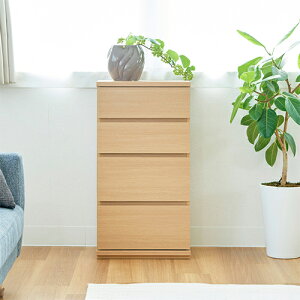 JE^[[ PTS-8545H NA i` 45cm s^VG JE^[[ Lb`[ o `FXg i` X