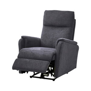 1�l�|���d�����N���C�j���O�\�t�@ SH-24-ESF-1--BKGY �u���b�N�O���[ 1�l�|�� �z�[���e�C�X�g �d���\�t�@ �\�t�@ ��l�|�� ���N���C�j���O �t�@�u���b�N �t�b�g���X�g 1P �|�P�b�g�R�C�� �k�� ��