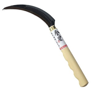 ڋ Ǖ #160037 S[fX^[ ڋ(Ǖ) K[fjO | _ _ H 