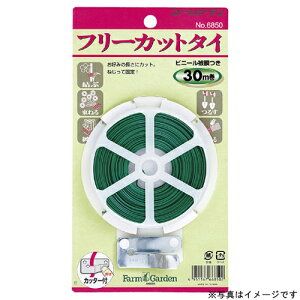 t[Jbg^C 50m S[fX^[ t[Jbg^C ֘Api  _ ~ K[fjO | _ _ H 